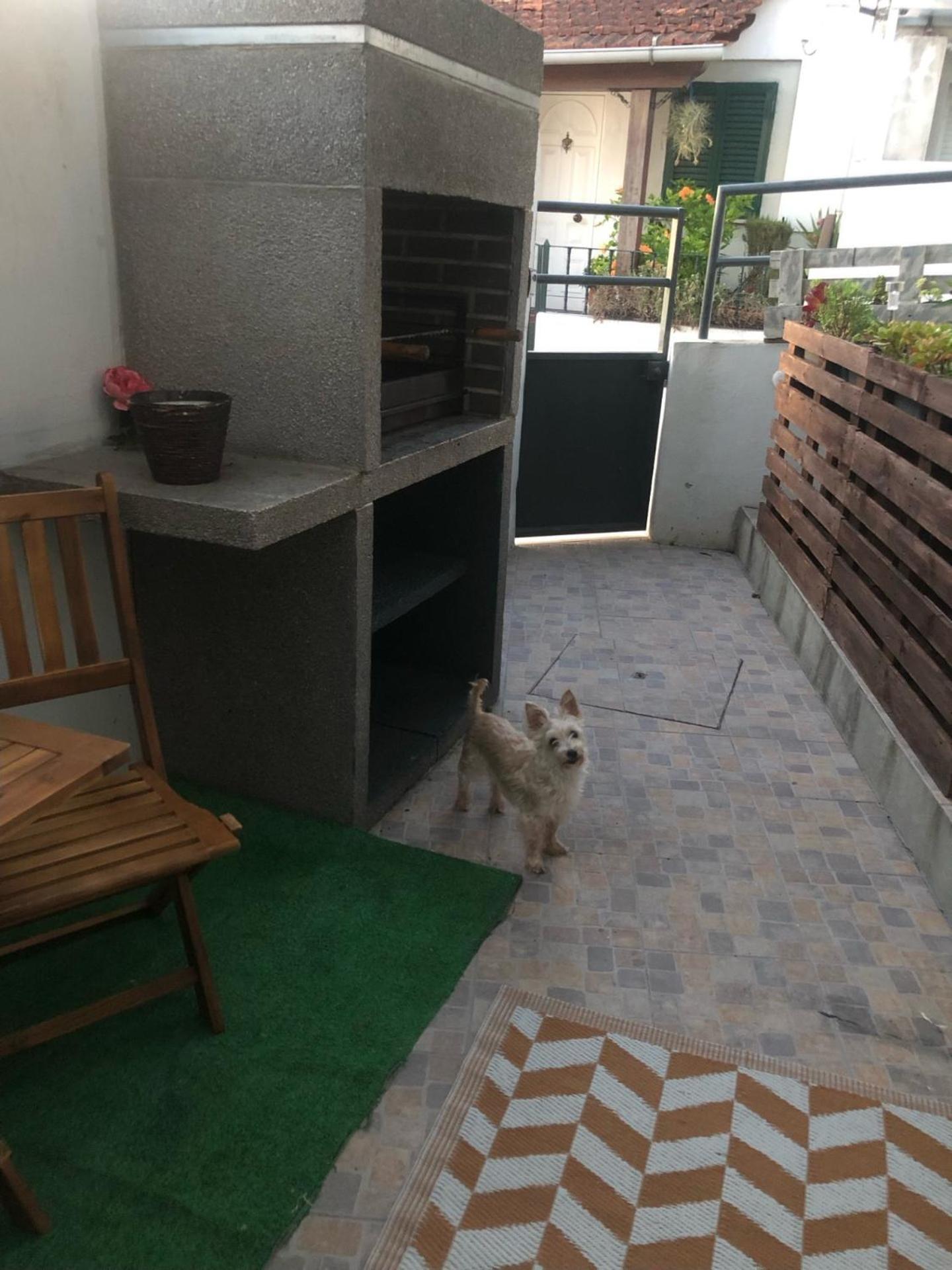 Cantinho Da Susana Coimbra Exteriör bild